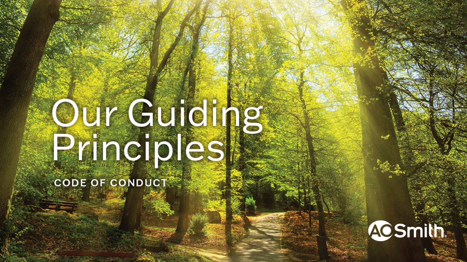 AOSmith Guiding Principles