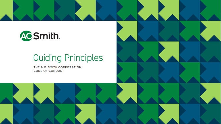 guiding principles guiding principles